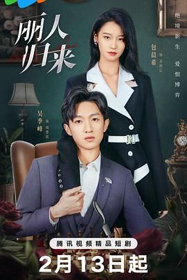 《丽人归来》海报