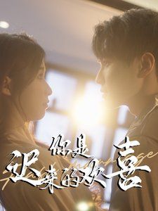 《你是迟来的欢喜2025》海报