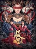 《展昭·探案》海报