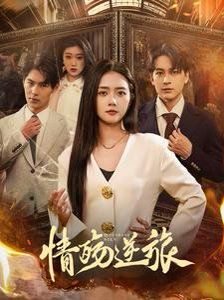《情殇逆旅》海报