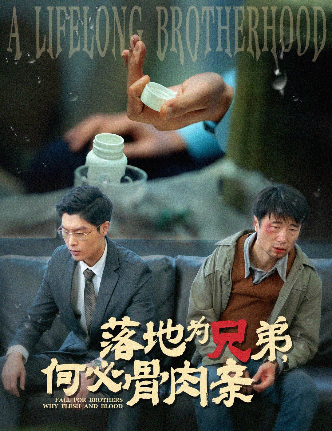 《落地为兄弟，何必骨肉亲》海报