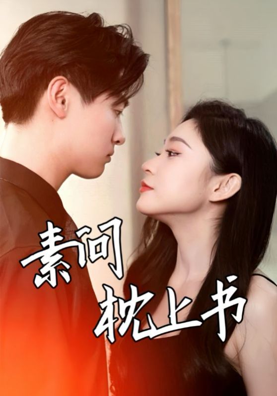 《素问枕上书》海报