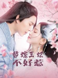 《替嫁王妃不好惹》海报