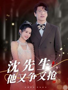 《沈先生他又争又抢》海报