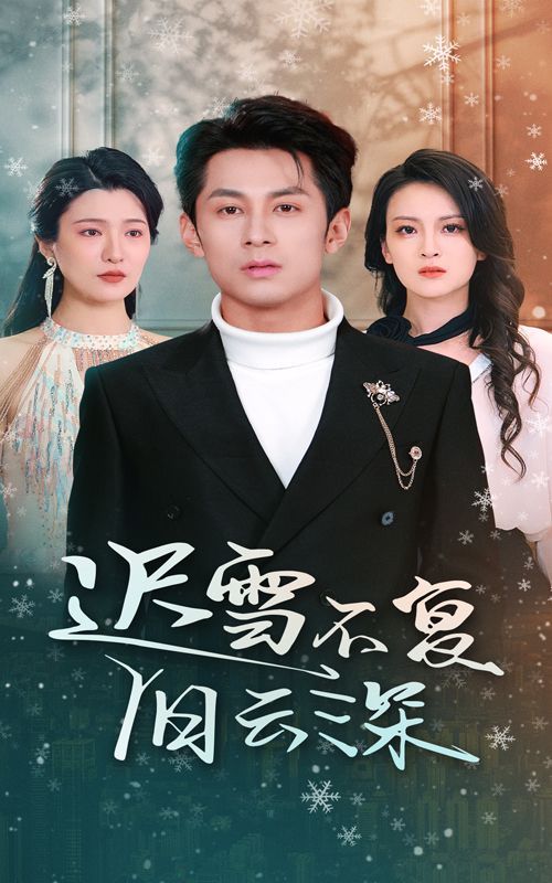 《迟雪不复旧云深（当年明月，负尽深雪）》海报
