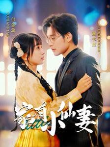 《家有小仙妻》海报