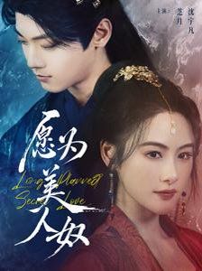 《愿为美人奴》海报