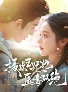 《摄政王妃她医毒双绝》海报