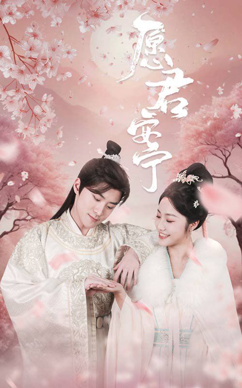 《愿君安宁》海报