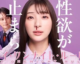 《我的一夜情规则》海报