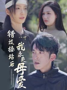 《错过接站后我永失母爱》海报