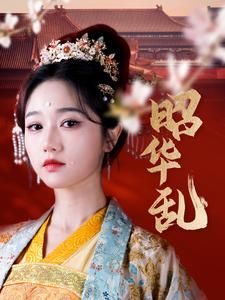 《昭华乱》海报