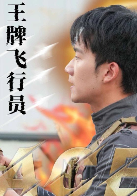 《王牌飞行员》海报