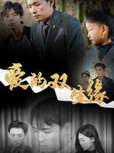 《爱的双生缘》海报