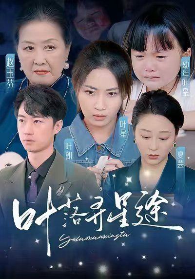 《叶落寻星途》海报