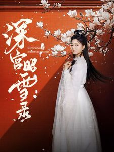《深宫昭雪录》海报