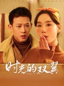 《时光的双翼》海报