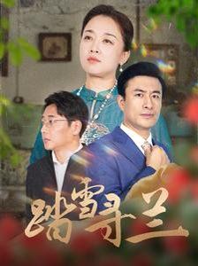 《踏雪寻兰》海报
