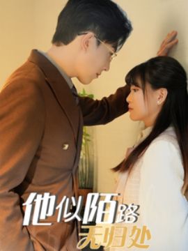《他似陌路无归处》海报