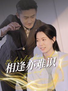 《相逢亦难识》海报