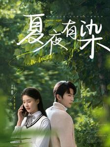《夏夜有染》海报
