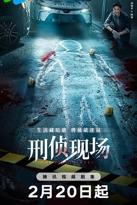 《刑侦现场》海报