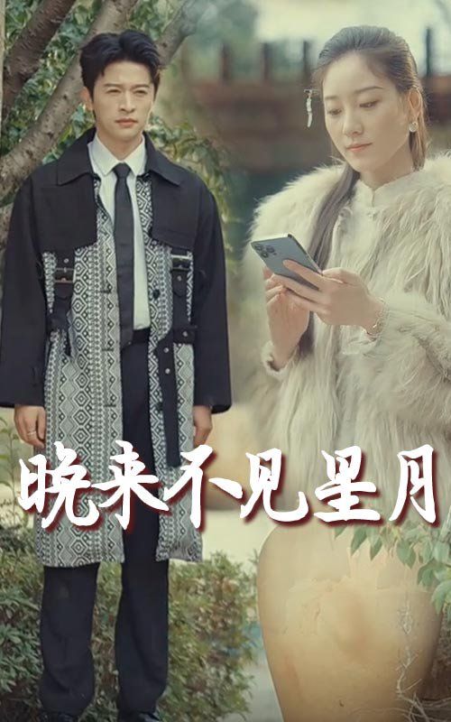 《晚来不见星月》海报