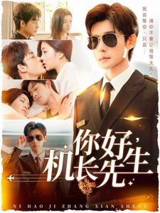 《你好机长先生》海报