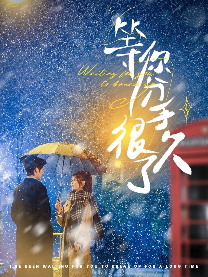 《等你分手很久了》海报
