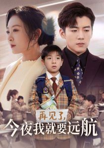 《再见了今夜我就要远航》海报