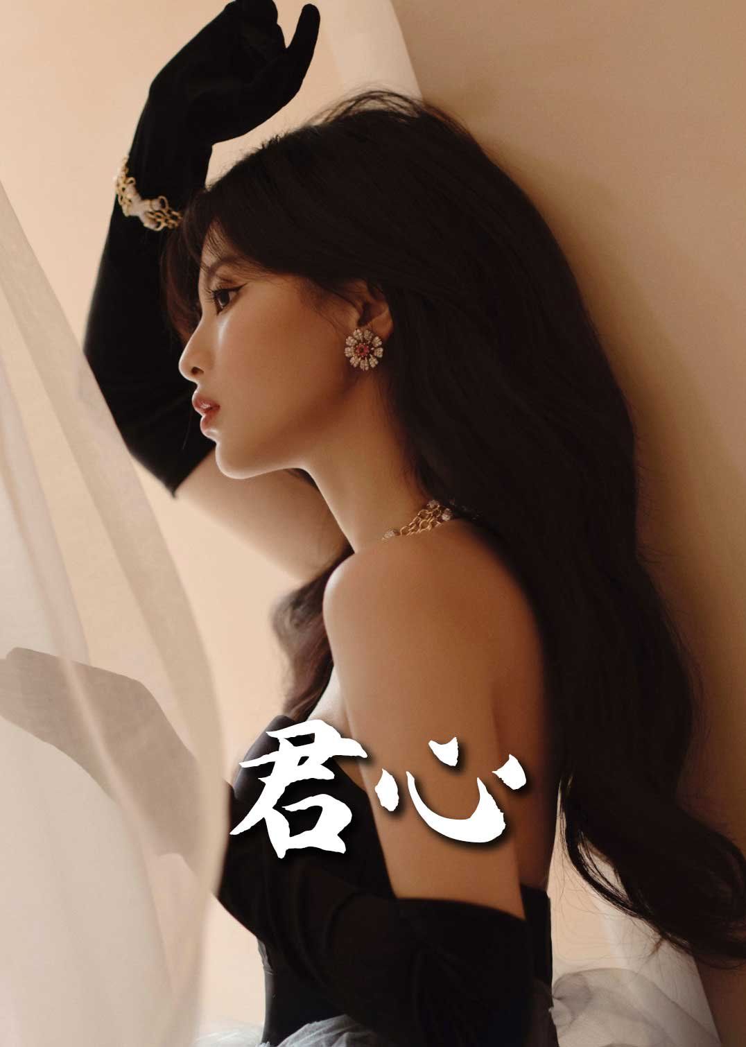 《君心》海报