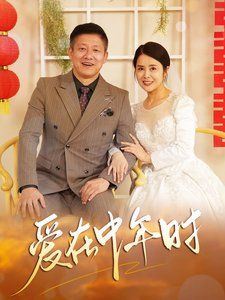 《爱在中年时》海报