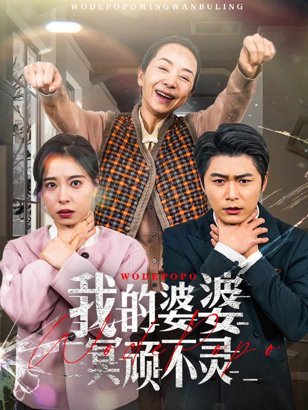 《我的婆婆冥顽不灵（好心婆婆之事与愿违）》海报