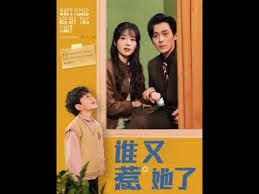 《谁又惹她了》海报
