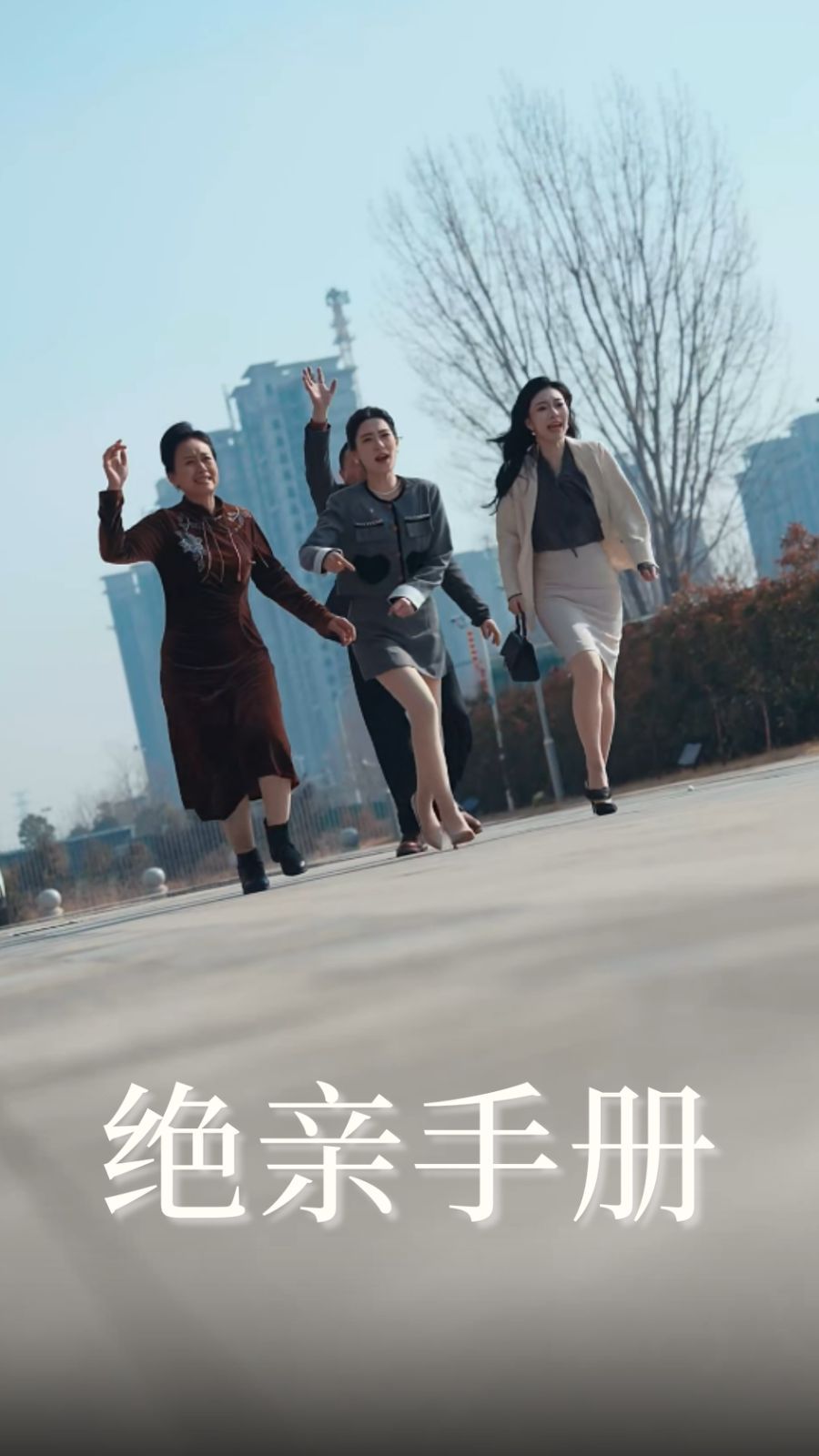《绝亲手册》海报
