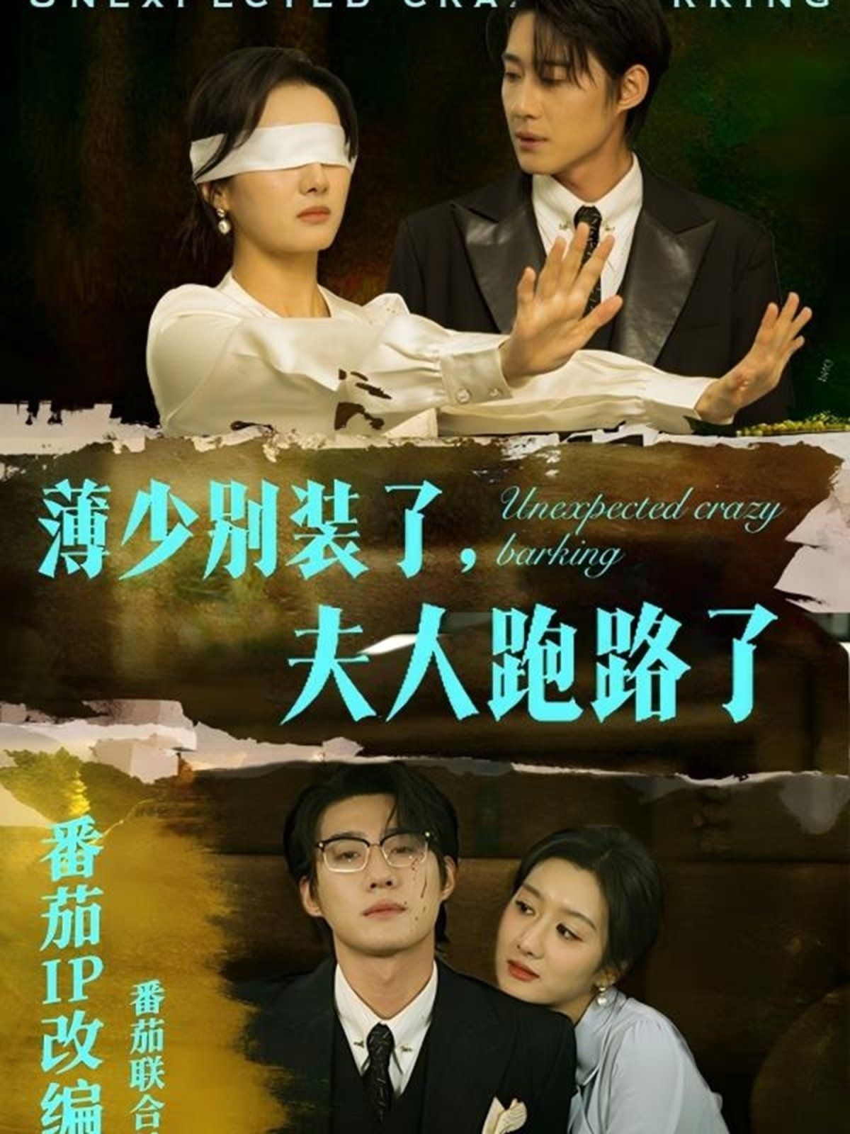 《薄少别装了夫人跑路了》海报