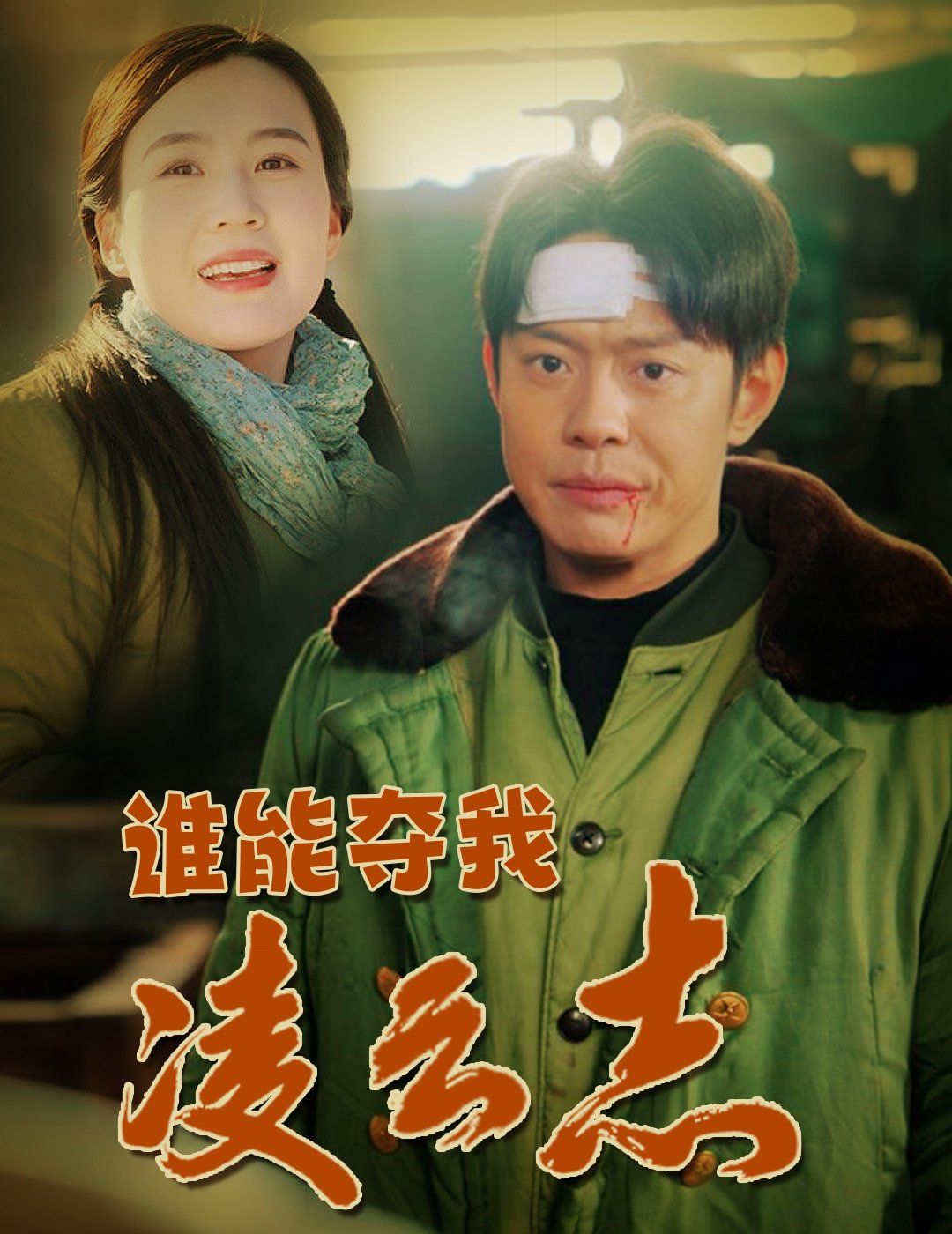 《谁能夺我凌云志》海报