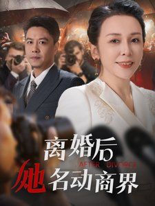 《离婚后她名动商界(中年离婚后她名动商界)》海报