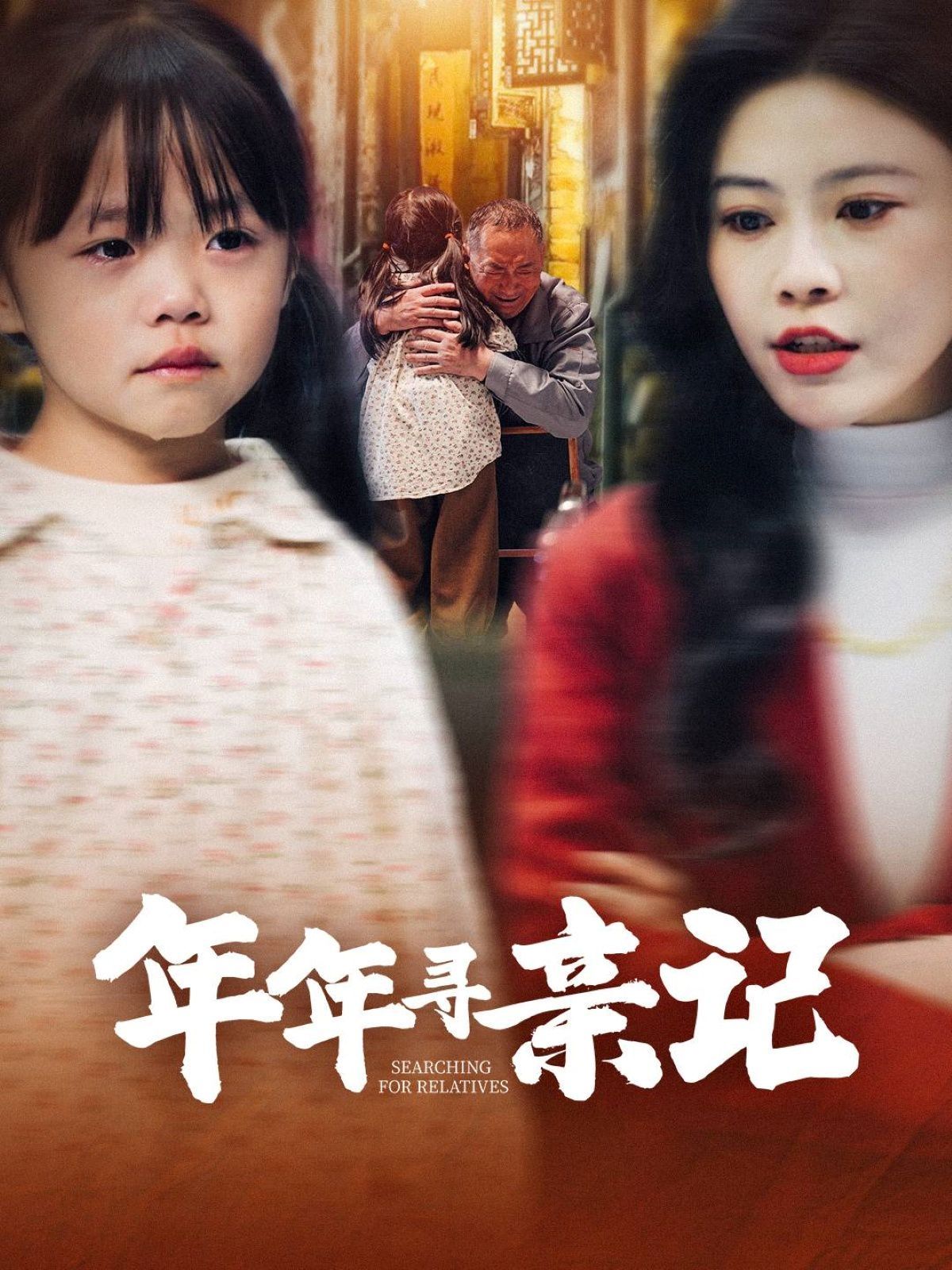 《年年寻亲记》海报