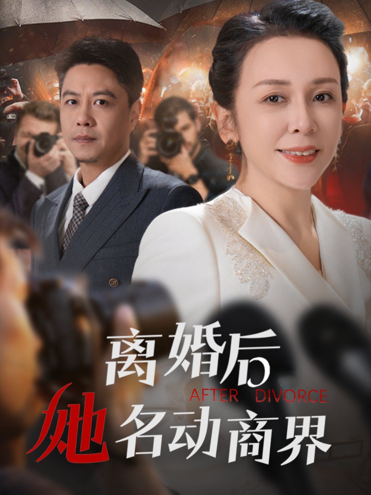 《离婚后她名动商界》海报
