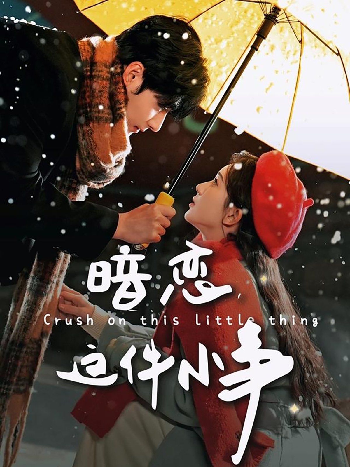 《暗恋这件小事》海报