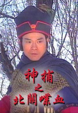 《神捕之北关喋血-粤语版》海报