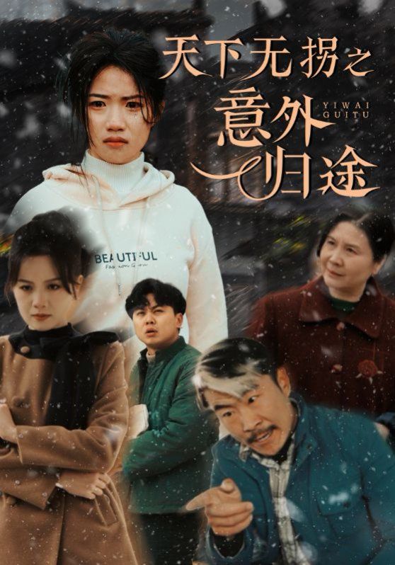 《天下无拐之意外归途》海报