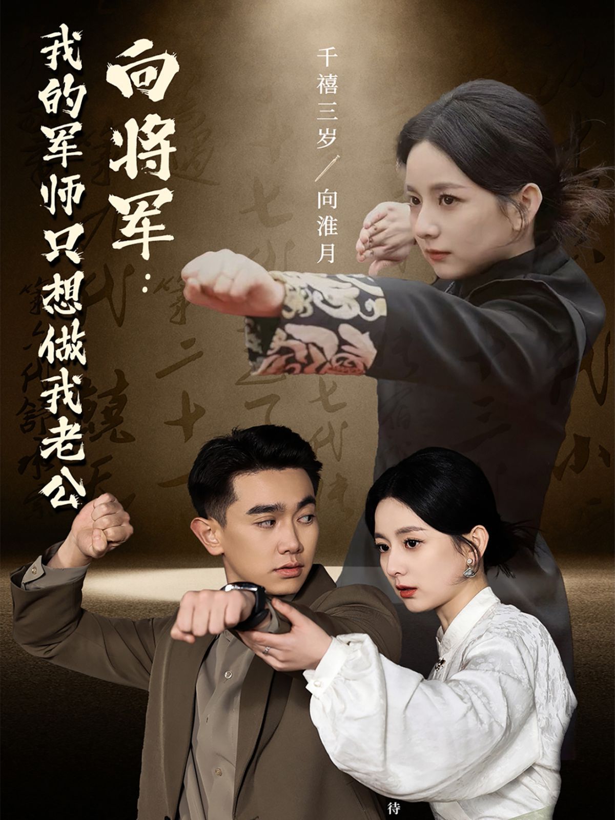 《向将军我的军师只想做我老公》海报