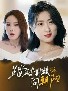 《踏破荆棘向朝阳》海报