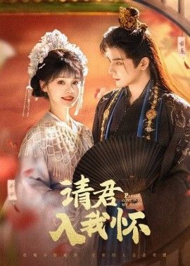 《请君入我怀》海报