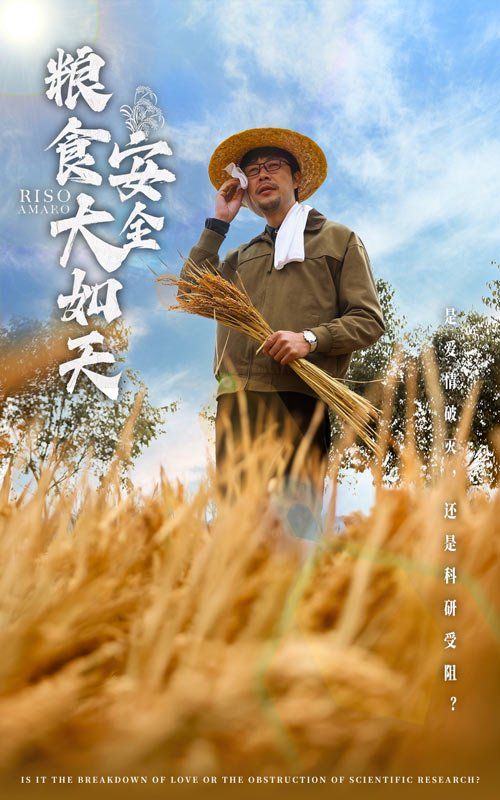 《粮食安全大如天》海报