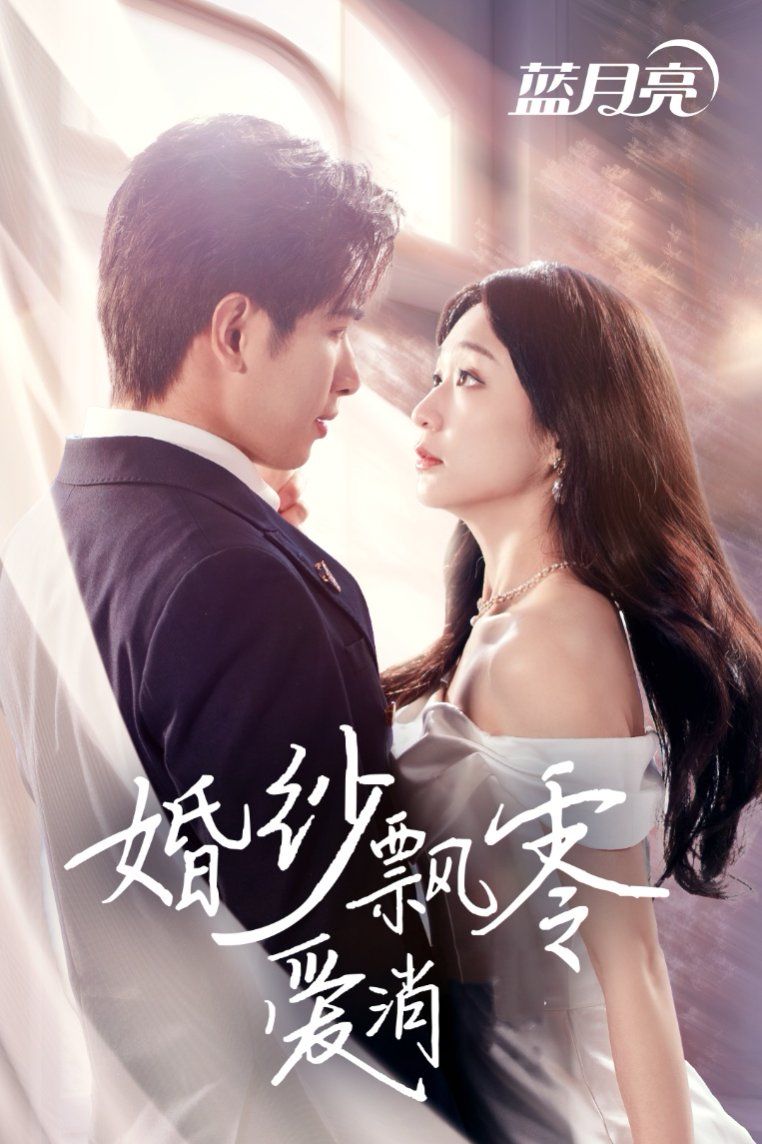 《婚纱飘零爱消弭》海报