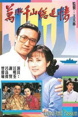 《万水千山总是情》海报