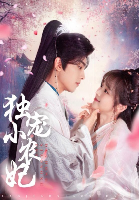 《独宠小农妃》海报